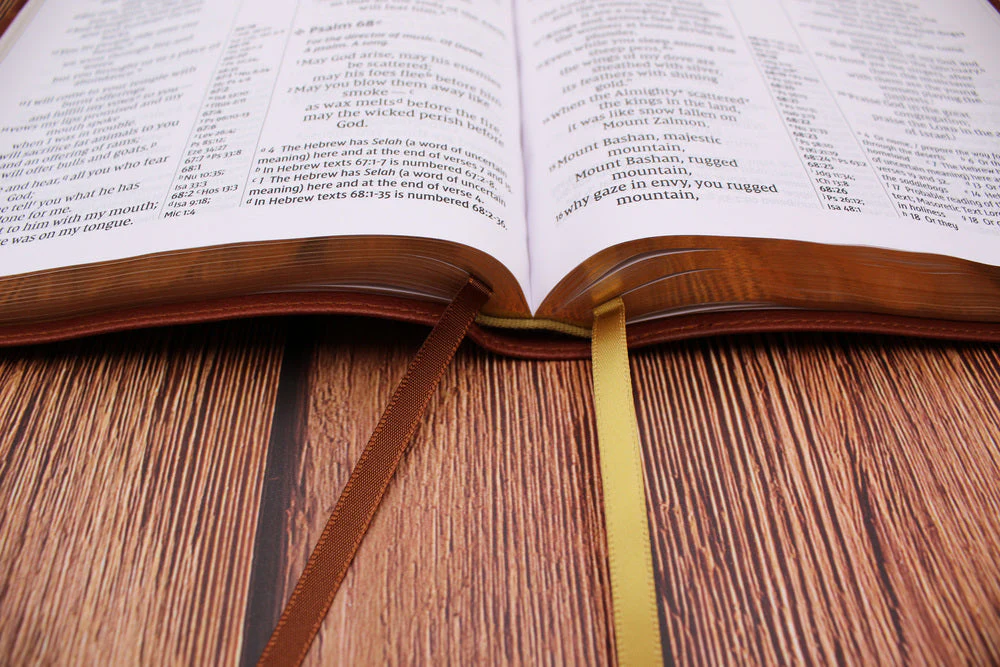 NIV, Thinline Reference Bible, Large Print, Red Letter, Comfort Print - Image 33