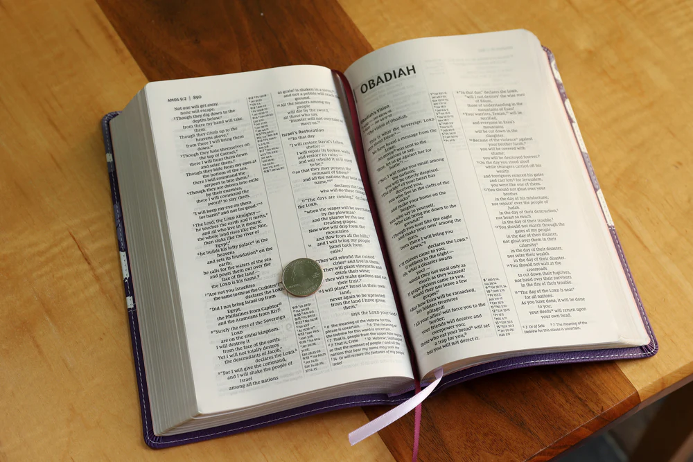 NIV, Thinline Reference Bible, Leathersoft, Red Letter, Comfort Print - Image 18