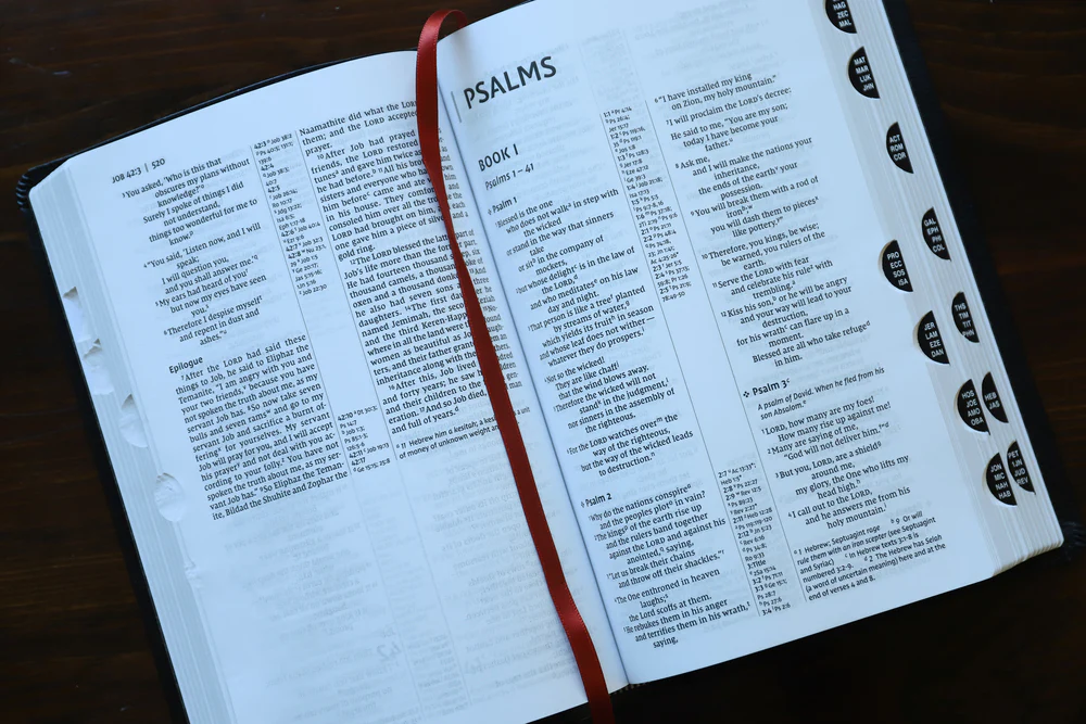 NIV, Thinline Reference Bible, Leathersoft, Red Letter, Comfort Print - Image 31