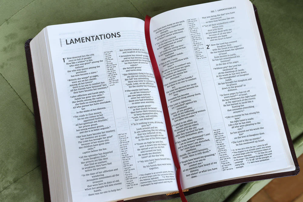 NIV, Thinline Reference Bible, Leathersoft, Red Letter, Comfort Print - Image 72