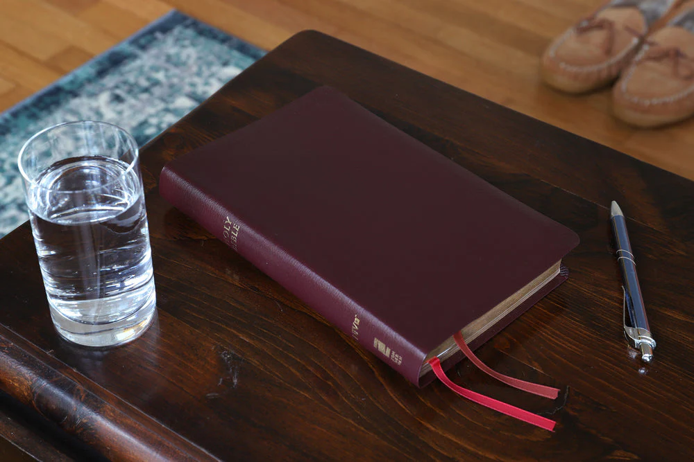 NIV, Thinline Reference Bible, Leathersoft, Red Letter, Comfort Print - Image 74