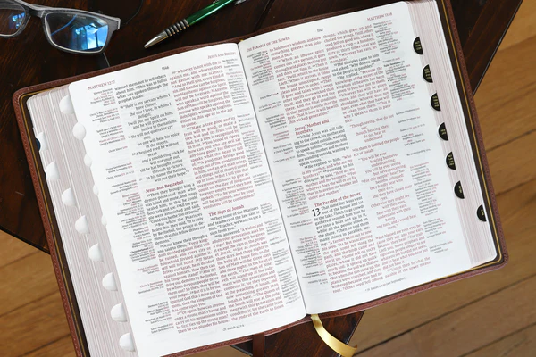 NIV, Thompson Chain-Reference Bible, Red Letter Edition, Comfort Print - Image 50