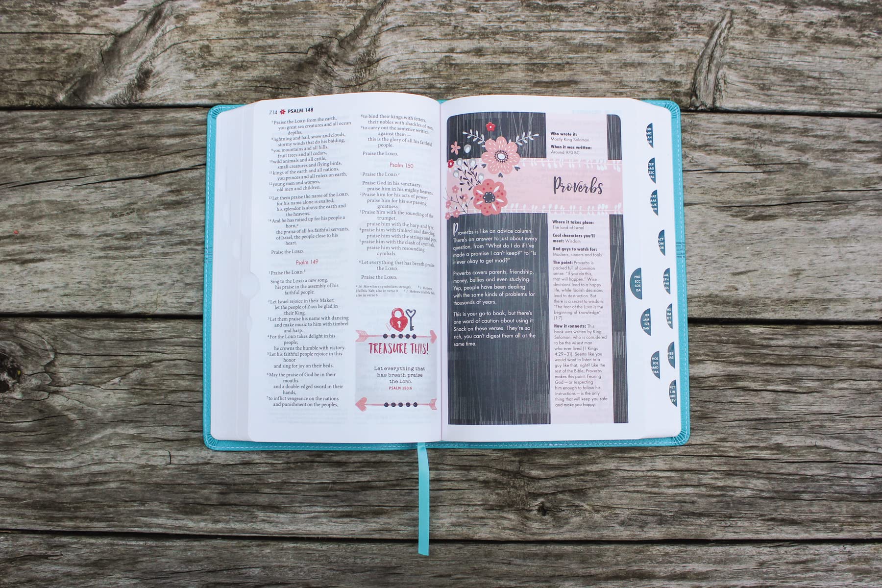 NIV, Ultimate Bible for Girls, Faithgirlz Edition: The Perfect Christian Faith Gift for Your Tween Girl, Age 8-12 - Image 27