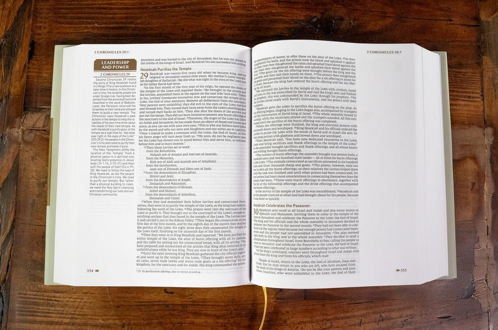 NIV, Upside-Down Kingdom Bible: Think Deeply // Love Widely - Image 13