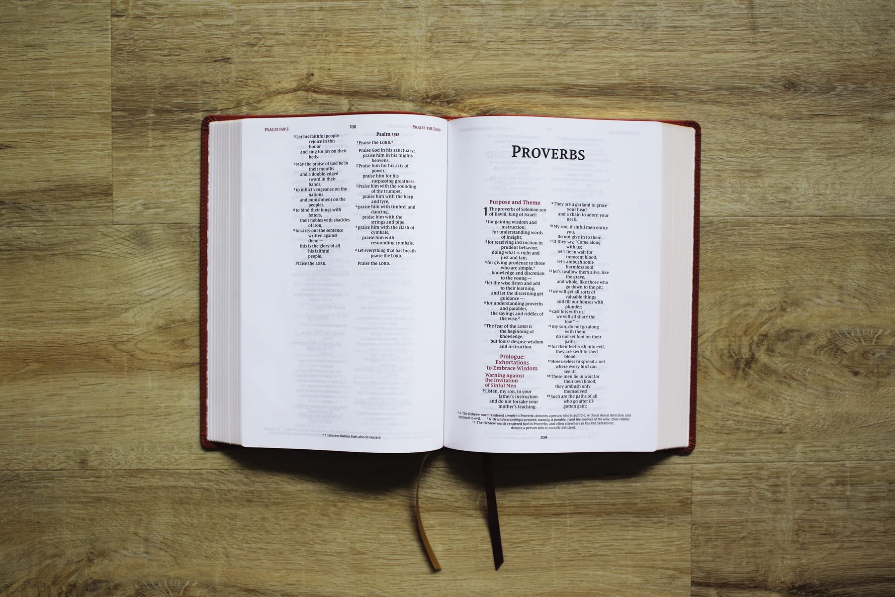NIV, Wide Margin Bible, Red Letter Edition, Comfort Print - Image 15