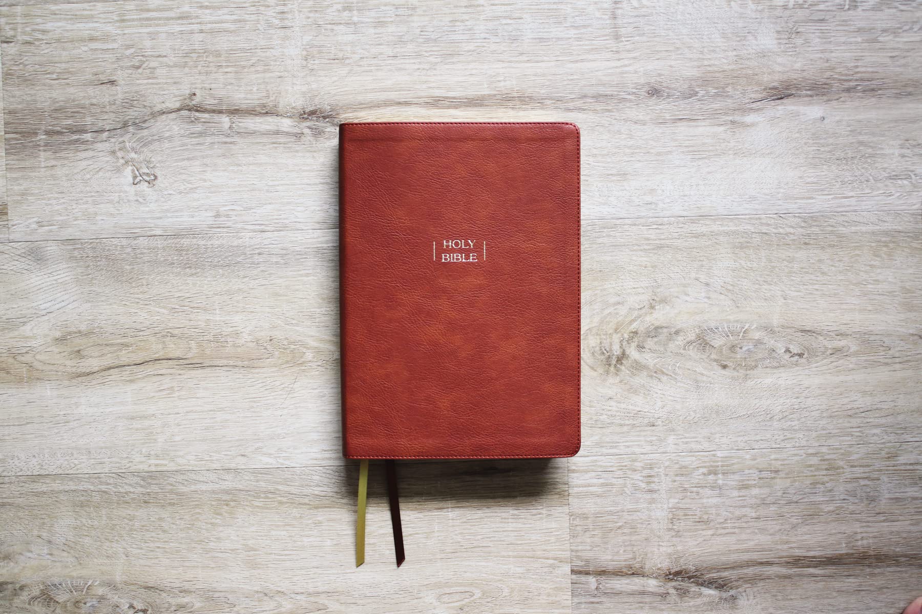 NIV, Wide Margin Bible, Red Letter Edition, Comfort Print - Image 17