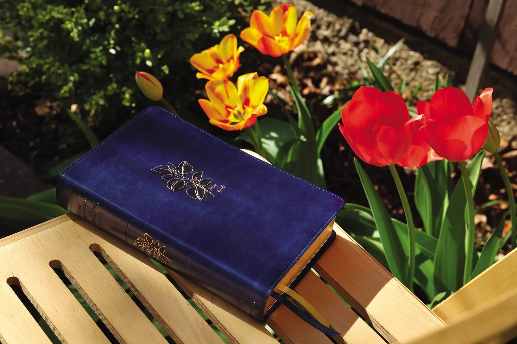 NIV, Women's Devotional Bible, Comfort Print - Image 11