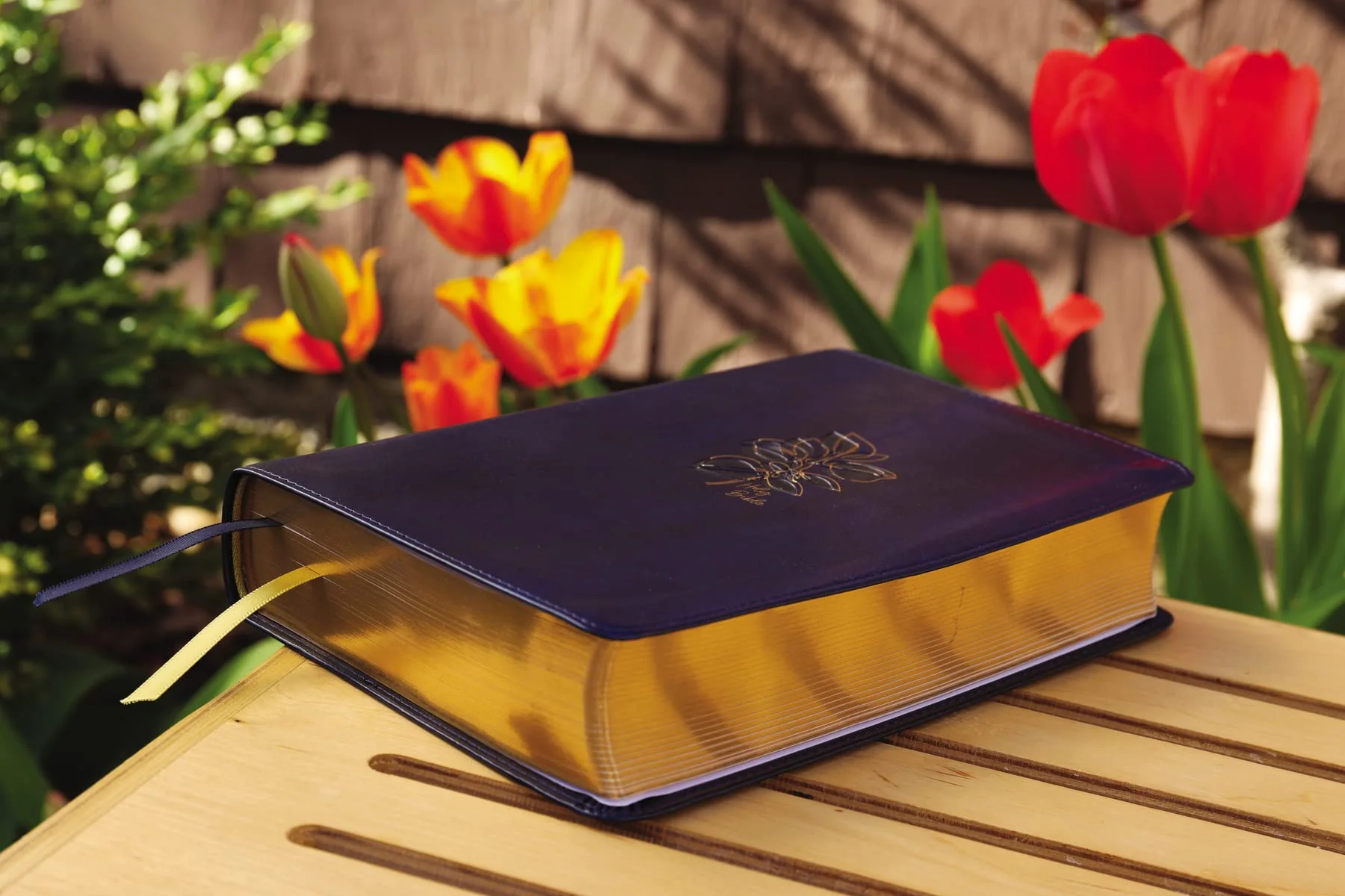 NIV, Women's Devotional Bible, Comfort Print - Image 13