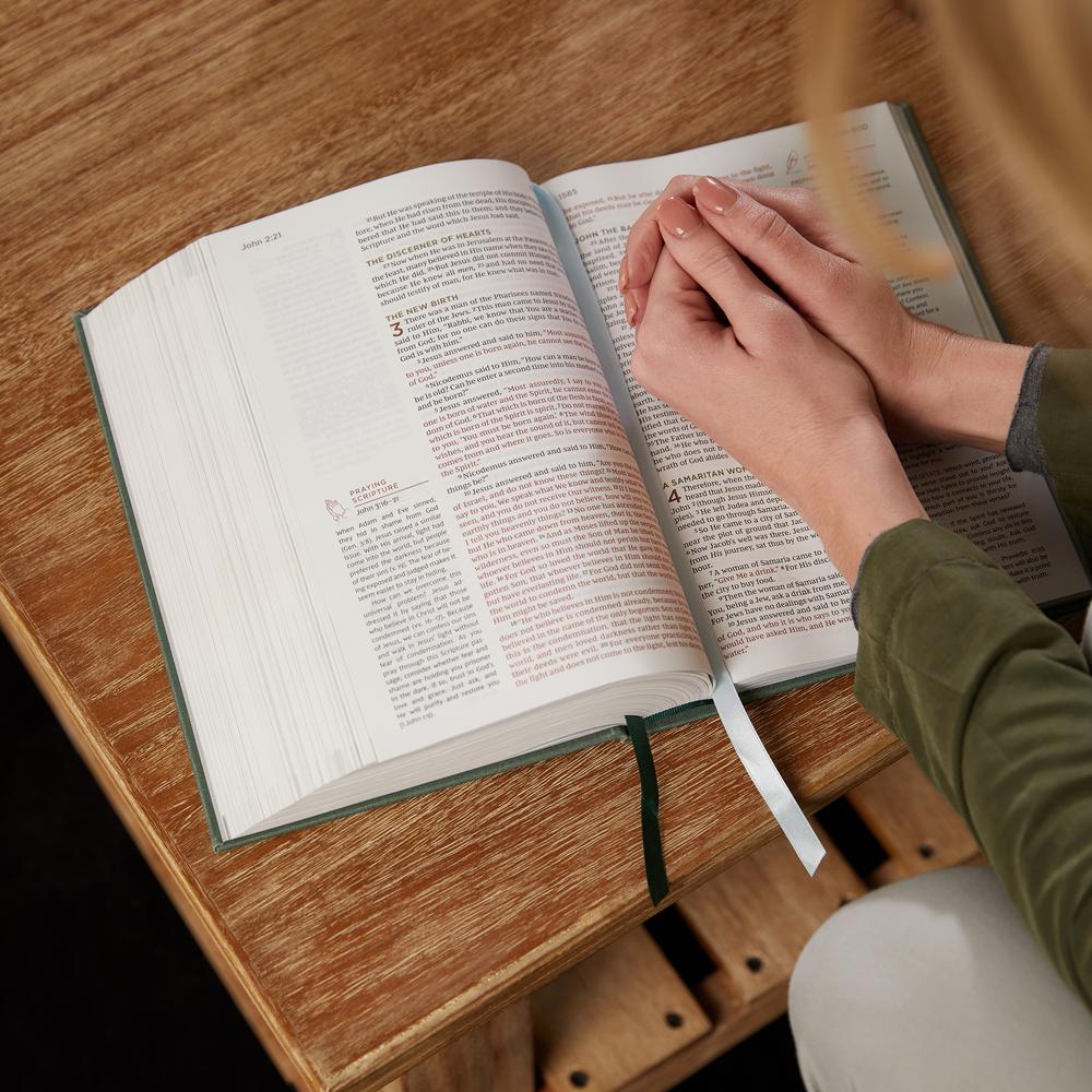 NKJV, Abide Bible, Red Letter Edition, Comfort Print: Holy Bible, New King James Version - Image 13