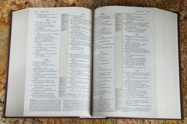 NKJV, Cultural Backgrounds Study Bible, Red Letter Edition: Bringing to Life the Ancient World of Scripture - Image 4