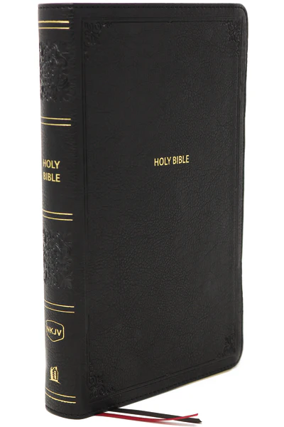 NKJV, End-of-Verse Reference Bible, Compact, Red Letter Edition, Comfort Print: Holy Bible, New King James Version
