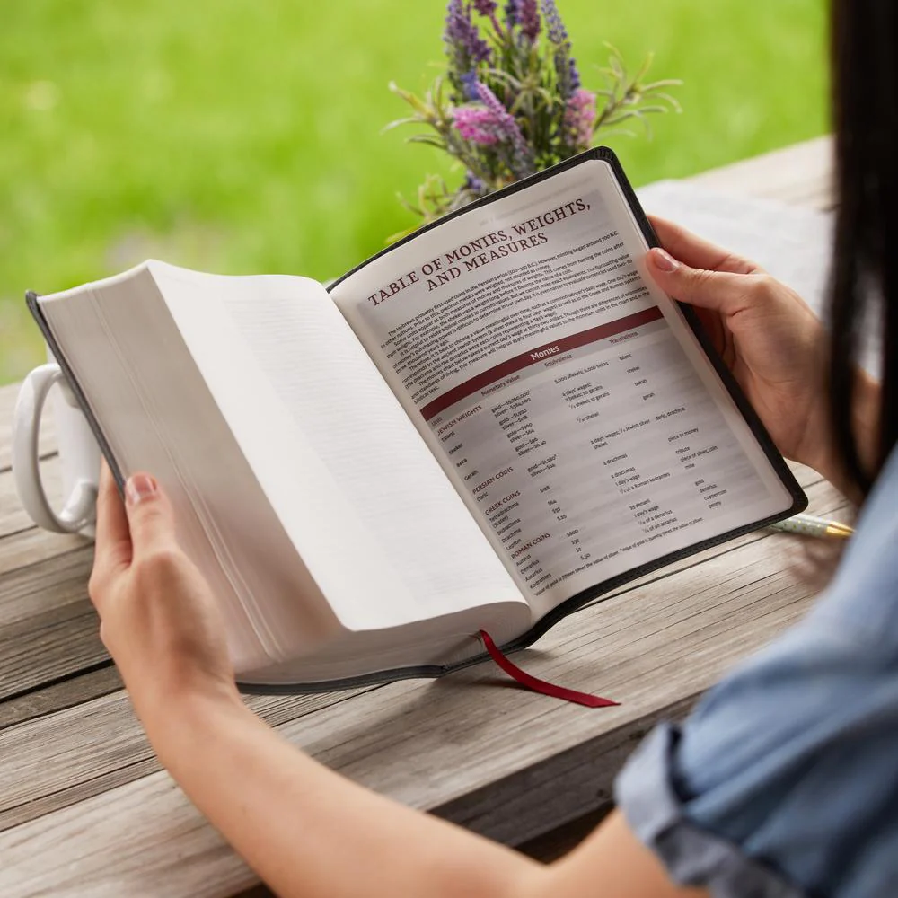 NKJV, Journal Reference Edition Bible, Verse Art Cover Collection, Leathersoft, Gray, Red Letter, Comfort Print: Let Scripture Explain Scripture. Reflect on What You Learn. - Image 8
