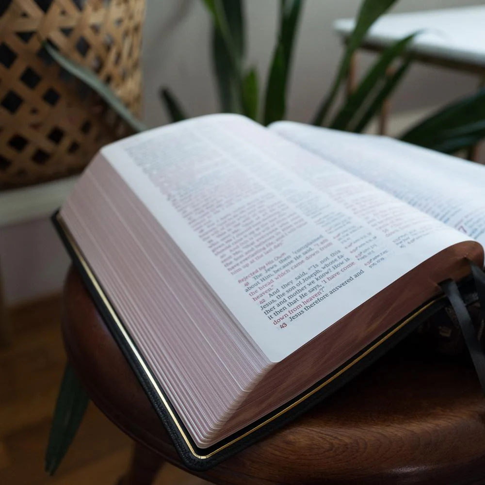 NKJV, Reference Bible, Classic Verse-by-Verse, Center-Column, Red Letter Edition, Comfort Print: Holy Bible, New King James Version - Image 70