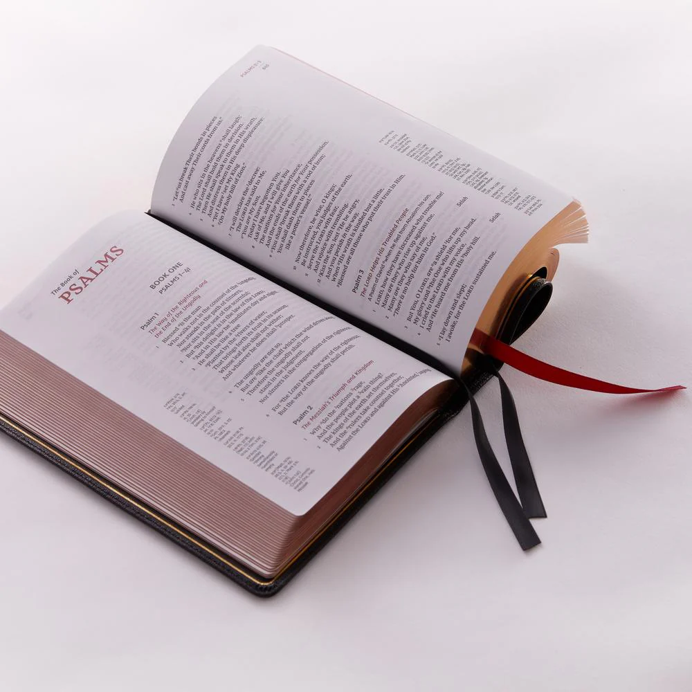 NKJV, Single-Column Reference Bible, Premium Goatskin Leather, Brown, Premier Collection, Comfort Print: Holy Bible, New King James Version - Image 8