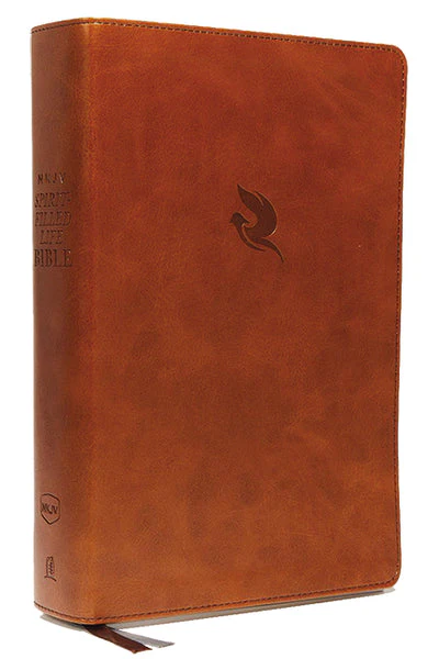 NKJV, Spirit-Filled Life Bible, Third Edition, Red Letter Edition, Comfort Print: Kingdom Equipping Through the Power of the Word - Image 7