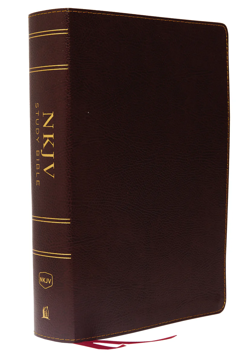 NKJV Study Bible, Full-Color, Comfort Print: The Complete Resource for Studying God’s Word - Image 4