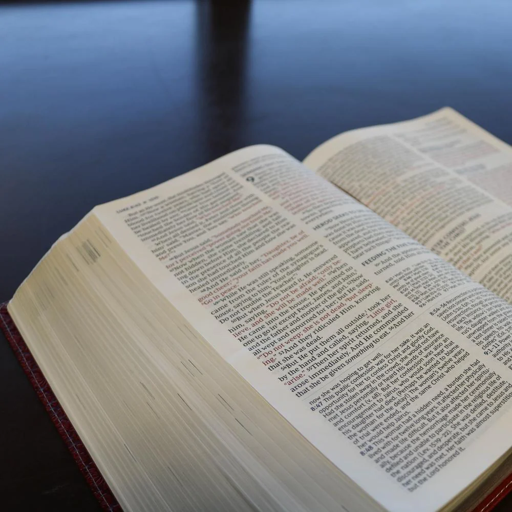 NKJV, Wiersbe Study Bible, Red Letter Edition, Comfort Print: Be Transformed by the Power of God’s Word - Image 21