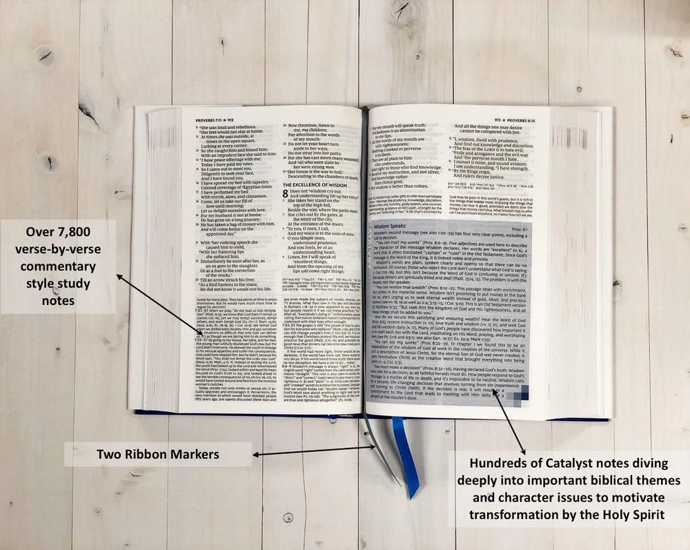 NKJV, Wiersbe Study Bible, Red Letter Edition, Comfort Print: Be Transformed by the Power of God’s Word - Image 8