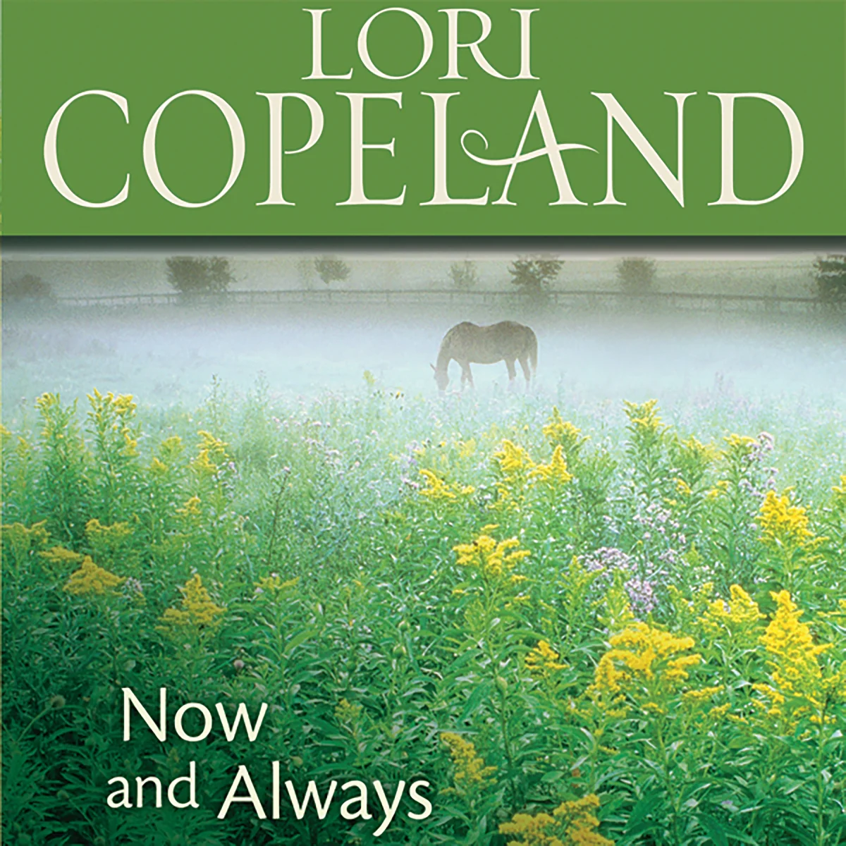 Now and Always - Audiobook (Unabridged)