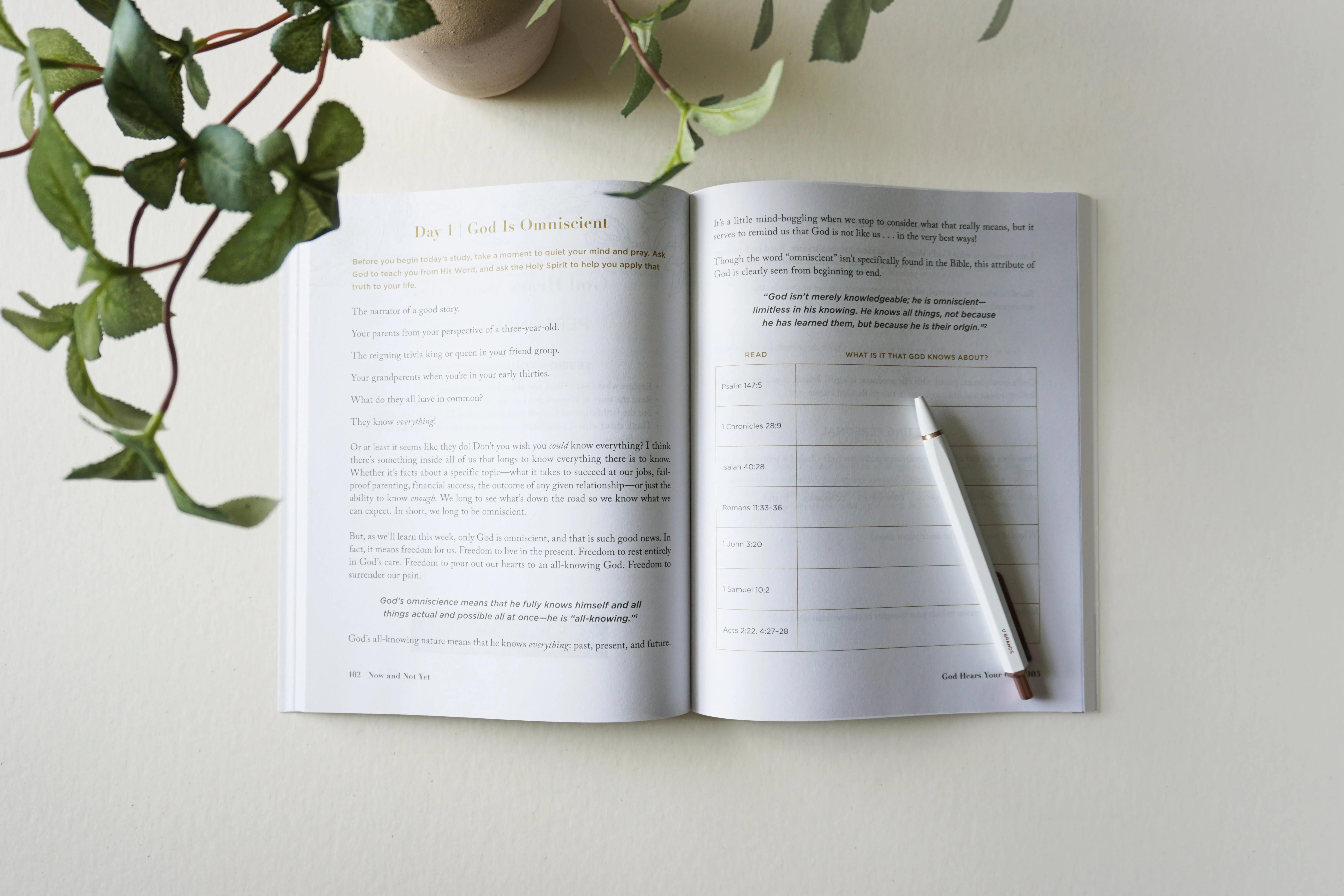 Now and Not Yet Bible Study Guide plus Streaming Video: Discovering Six Ways God Is More Faithful Than You Know - Image 10