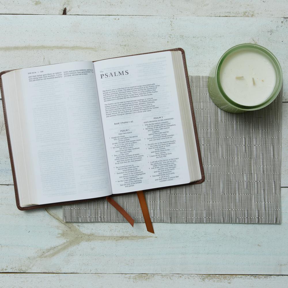 NRSV, Catholic Bible, Gift Edition, Comfort Print: Holy Bible - Image 10