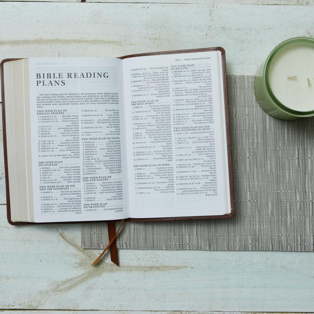 NRSV, Catholic Bible, Gift Edition, Comfort Print: Holy Bible - Image 12