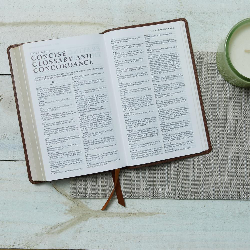 NRSV, Catholic Bible, Gift Edition, Comfort Print: Holy Bible - Image 13