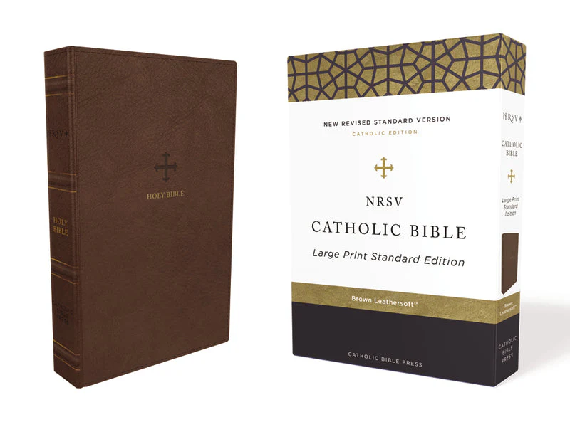 NRSV, Catholic Bible, Standard Large Print, Comfort Print: Holy Bible - Image 2