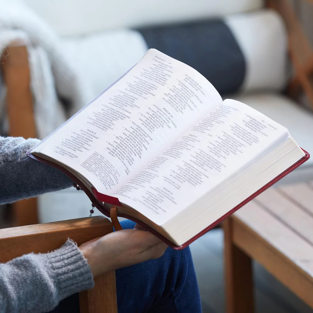 NRSV, Catholic Bible, Standard Large Print, Comfort Print: Holy Bible - Image 10