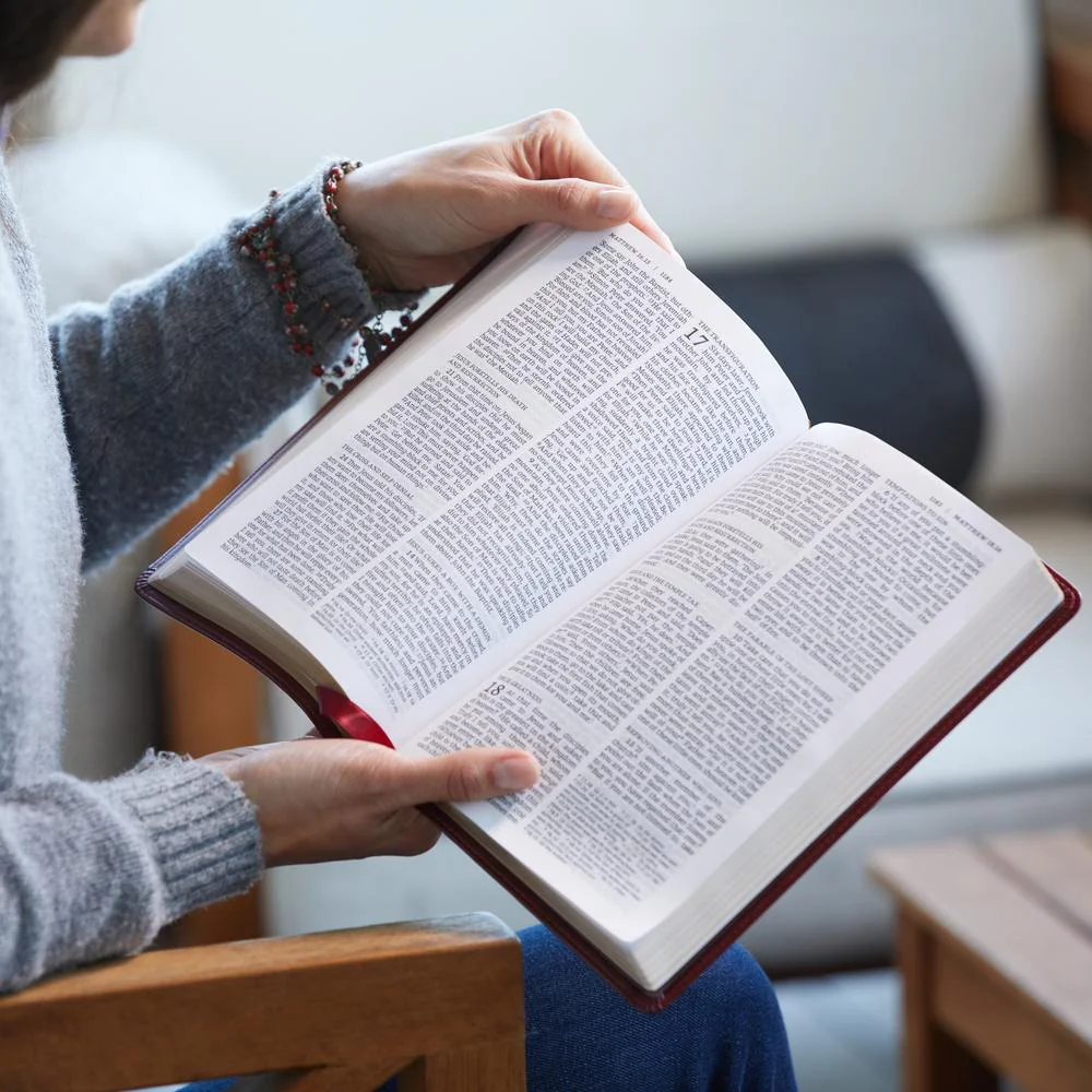 NRSV, Catholic Bible, Standard Large Print, Comfort Print: Holy Bible - Image 11