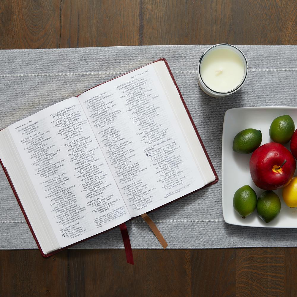 NRSV, Catholic Bible, Standard Large Print, Comfort Print: Holy Bible - Image 14