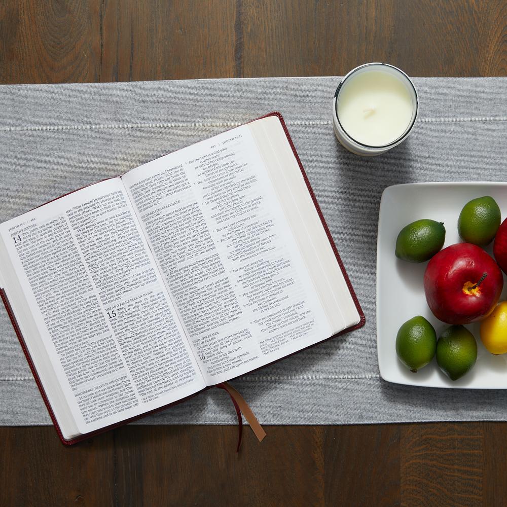 NRSV, Catholic Bible, Standard Large Print, Comfort Print: Holy Bible - Image 15