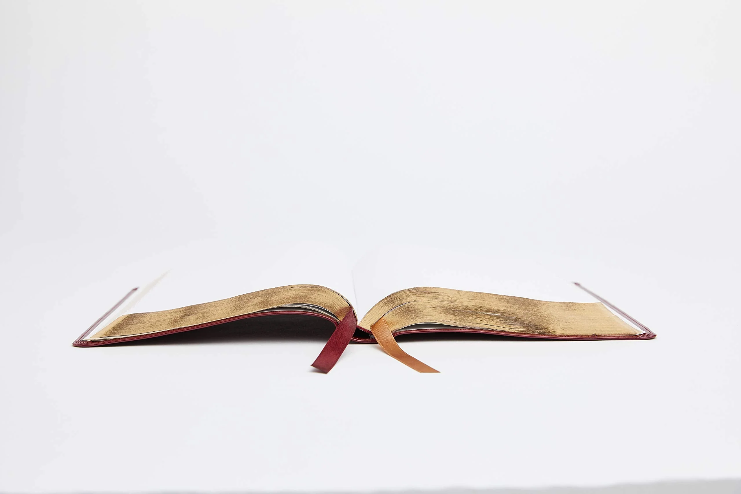 NRSV, Catholic Bible, Standard Large Print, Comfort Print: Holy Bible - Image 8