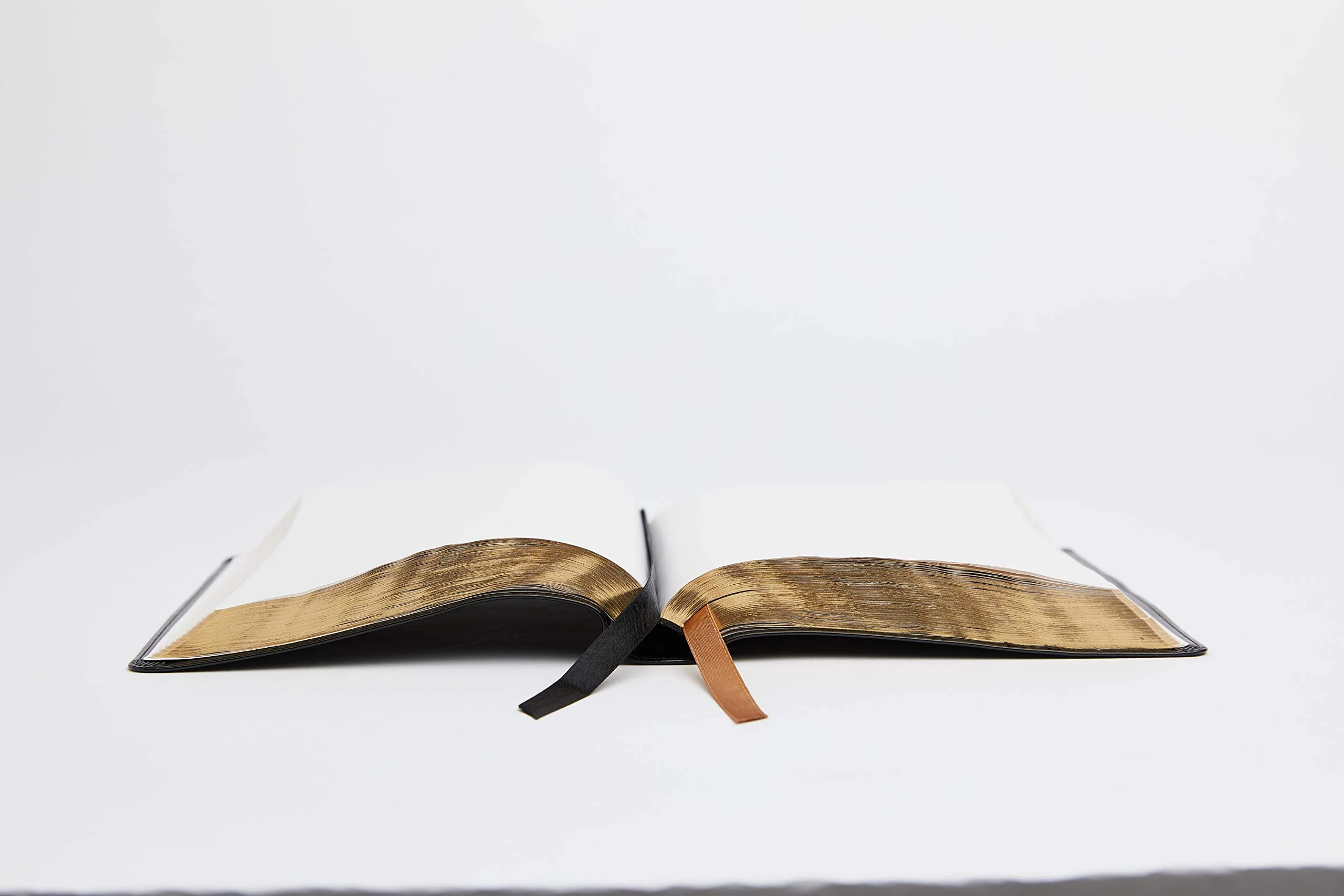 NRSV, Catholic Bible, Standard Large Print, Comfort Print: Holy Bible - Image 6