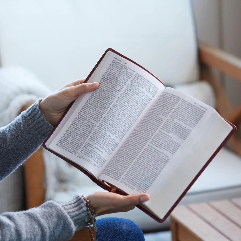 NRSV, Catholic Bible, Standard Large Print, Comfort Print: Holy Bible - Image 9