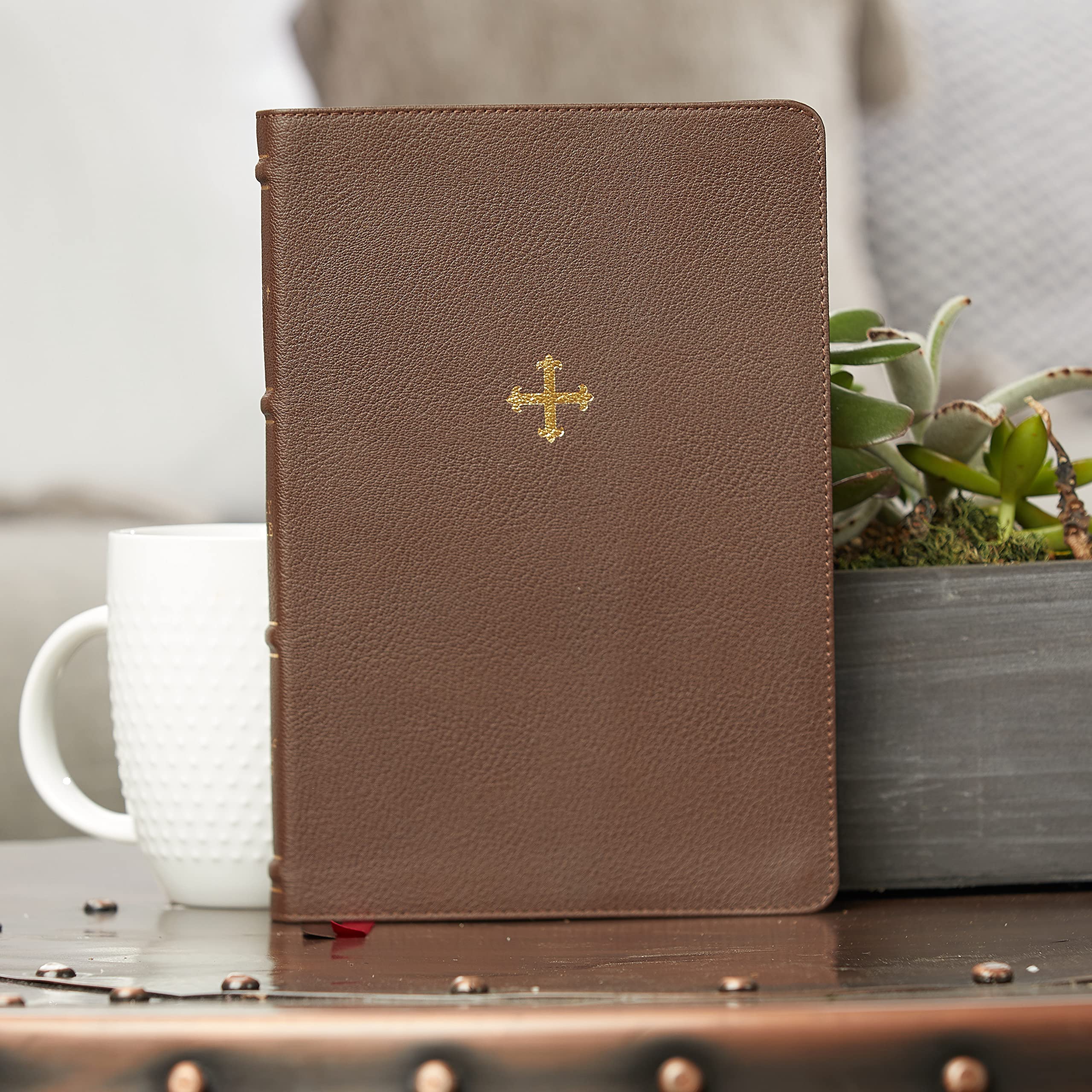 NRSV, Catholic Bible, Thinline Edition, Comfort Print: Holy Bible - Image 18