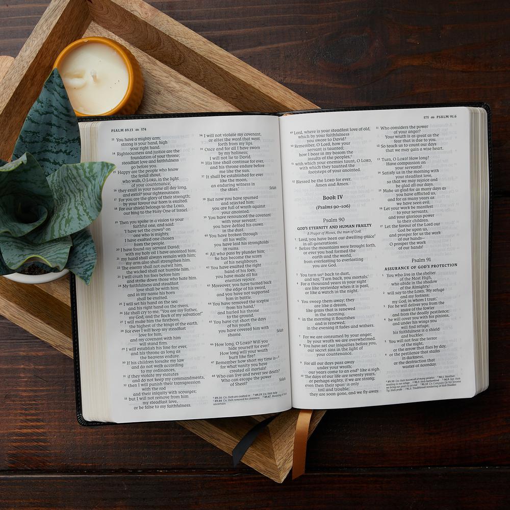 NRSV, Catholic Bible, Thinline Edition, Comfort Print: Holy Bible - Image 19