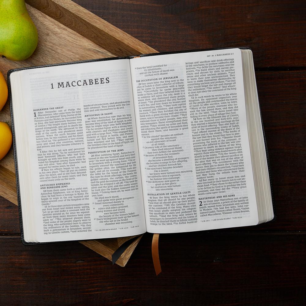 NRSV, Catholic Bible, Thinline Edition, Comfort Print: Holy Bible - Image 22