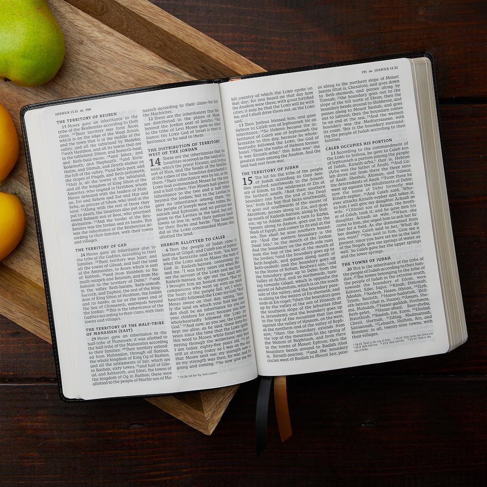 NRSV, Catholic Bible, Thinline Edition, Comfort Print: Holy Bible - Image 23