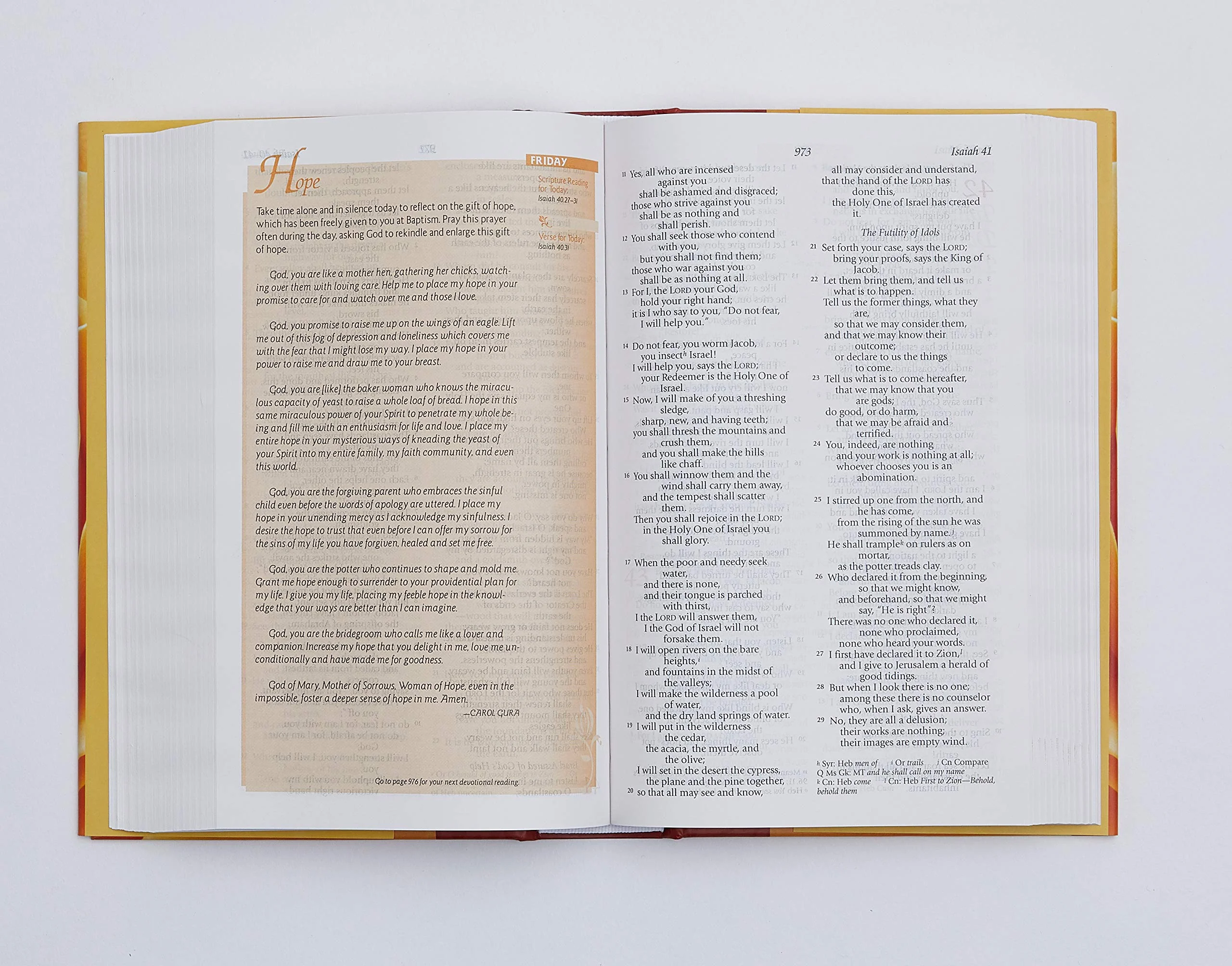 NRSV, Catholic Women's Devotional Bible: Featuring Daily Meditations by Women and a Reading Plan Tied to the Lectionary - Image 22