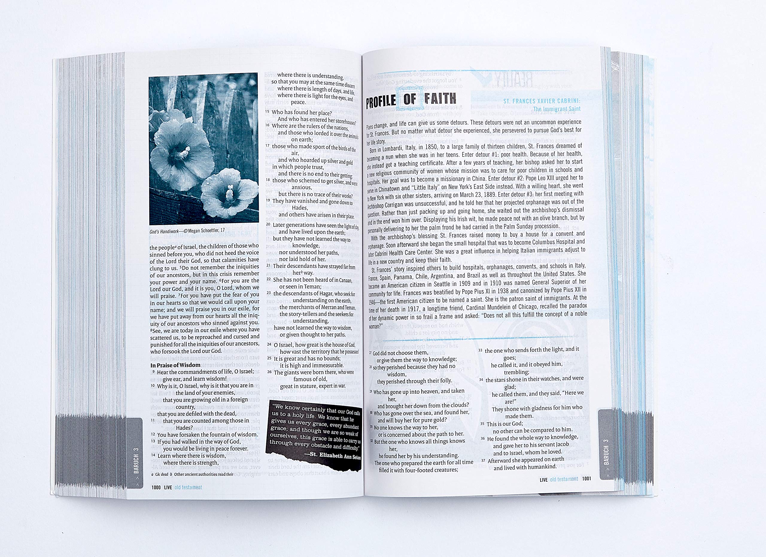 NRSV, LIVE, Catholic Edition, Youth Bible, Paperback: Youth Bible, Catholic Edition - Image 2