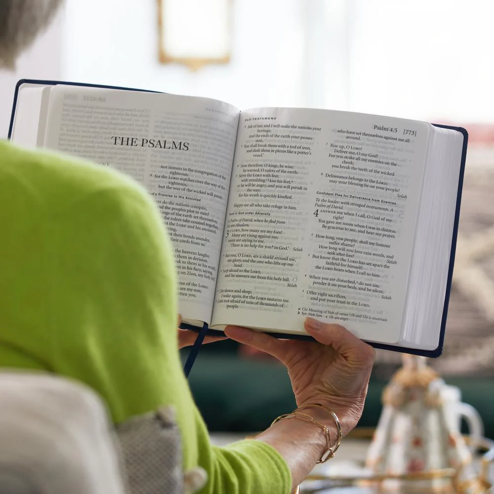 NRSV XL, Catholic Edition: Holy Bible - Image 7