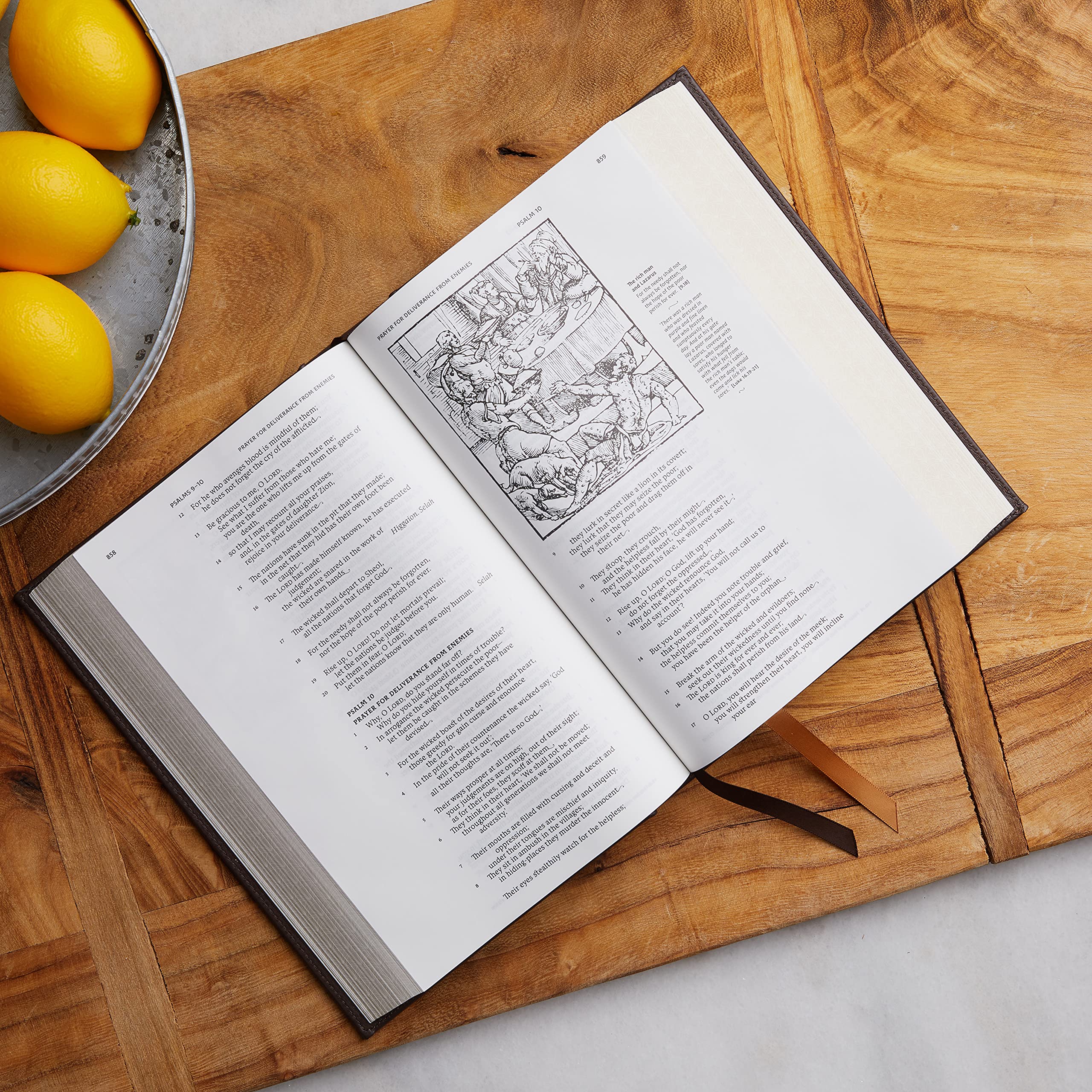 NRSVCE, Illustrated Catholic Bible, Comfort Print: Holy Bible - Image 13