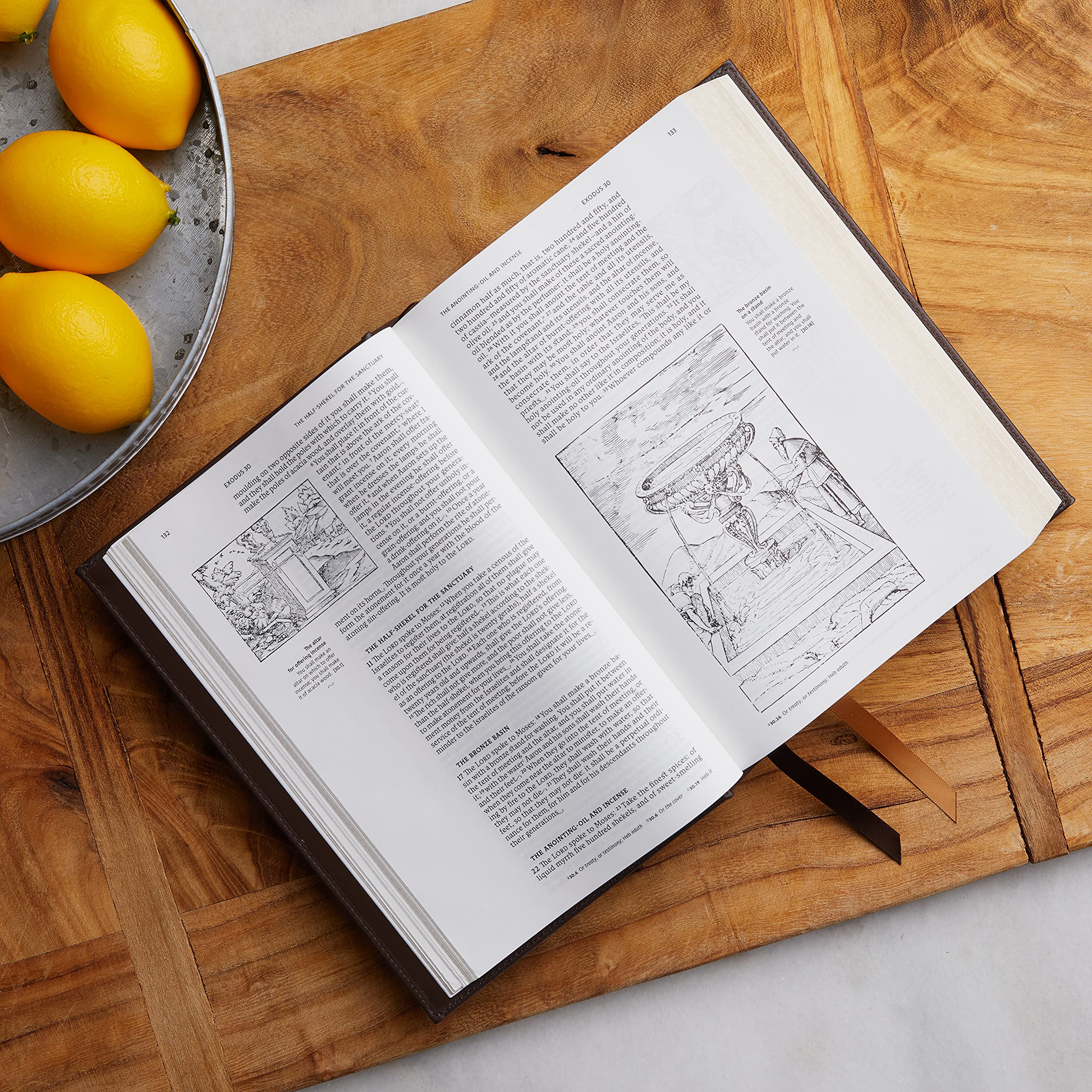 NRSVCE, Illustrated Catholic Bible, Comfort Print: Holy Bible - Image 17