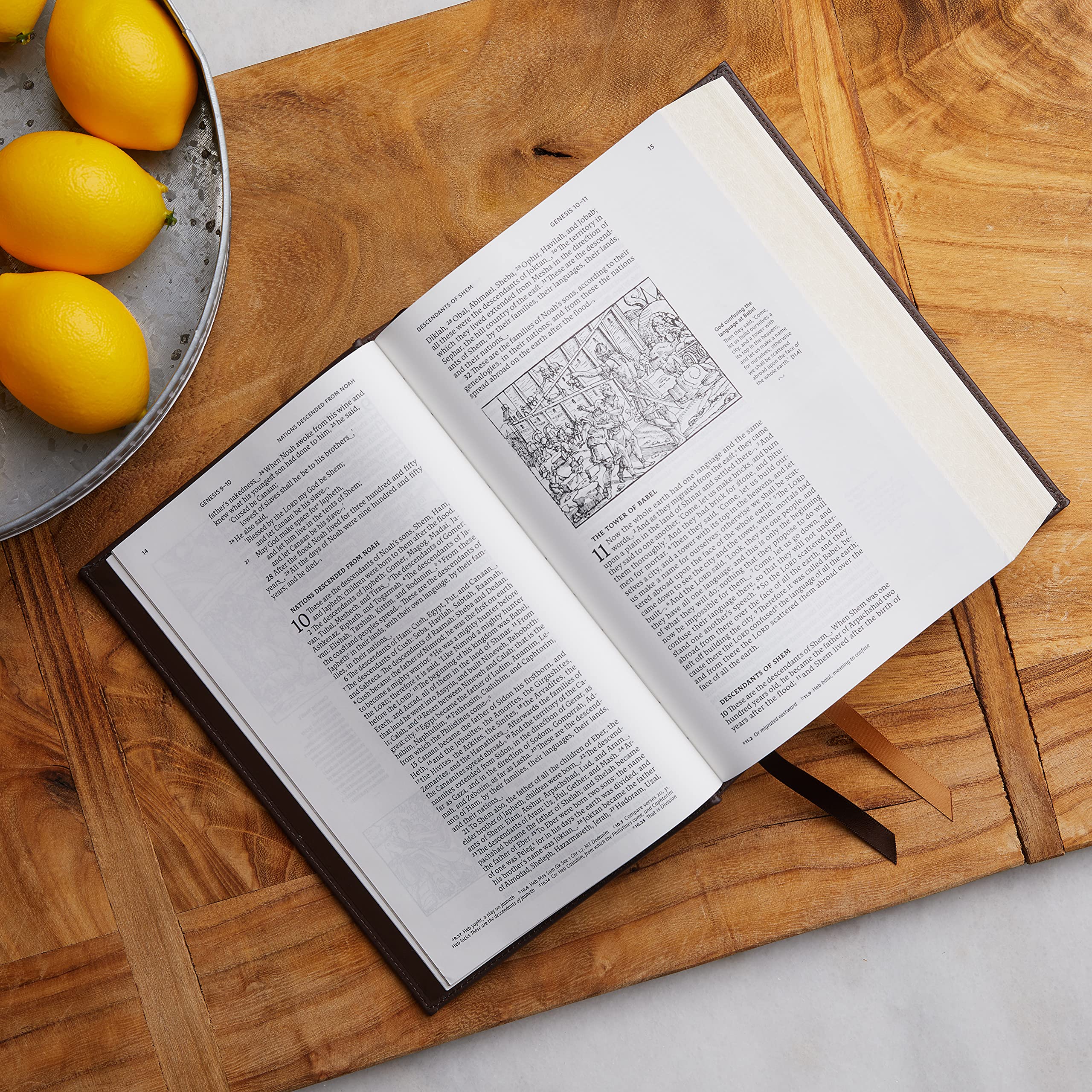 NRSVCE, Illustrated Catholic Bible, Comfort Print: Holy Bible - Image 18