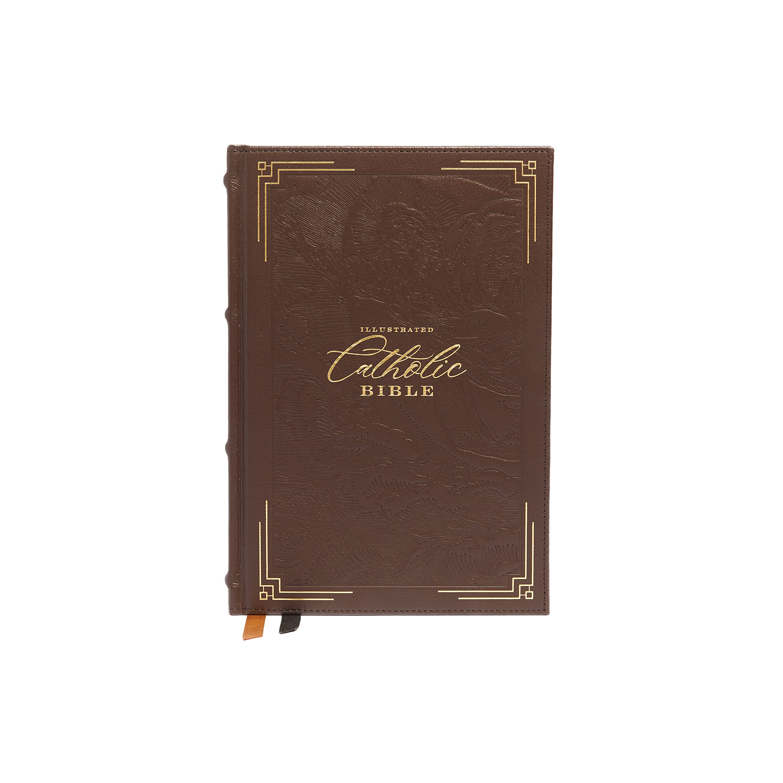 NRSVCE, Illustrated Catholic Bible, Comfort Print: Holy Bible - Image 19