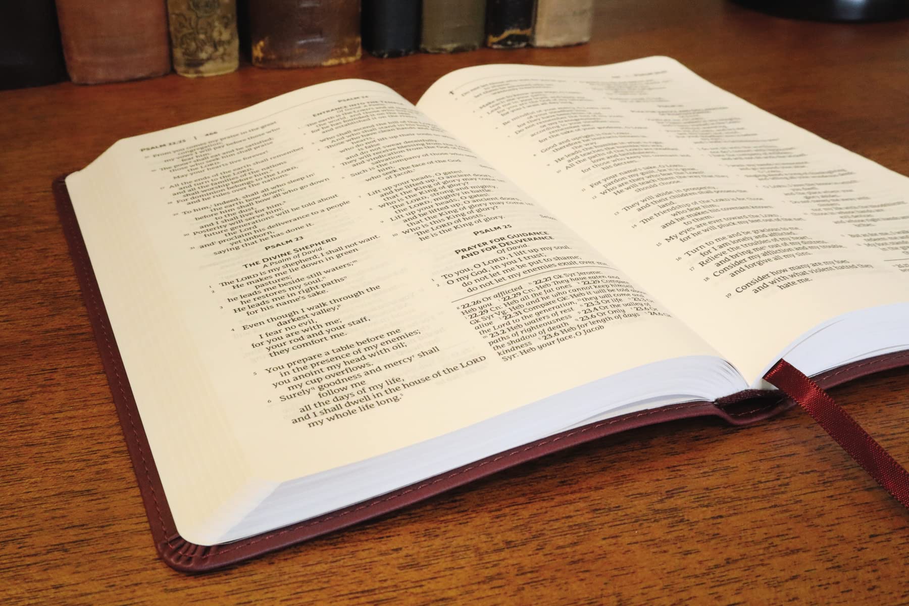 NRSVue, Gift Bible, Comfort Print - Image 6