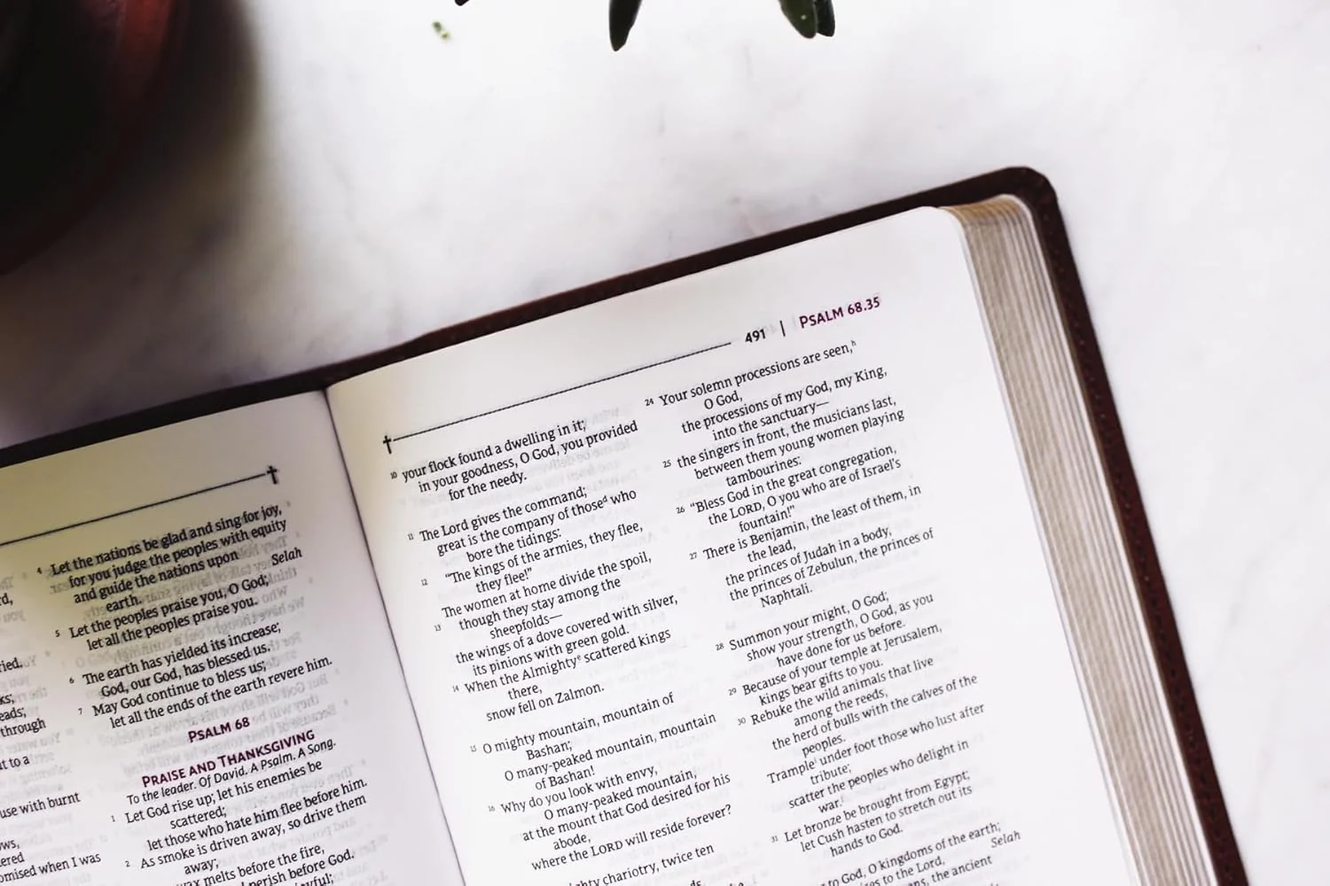 NRSVue, Holy Bible, Comfort Print - Image 8