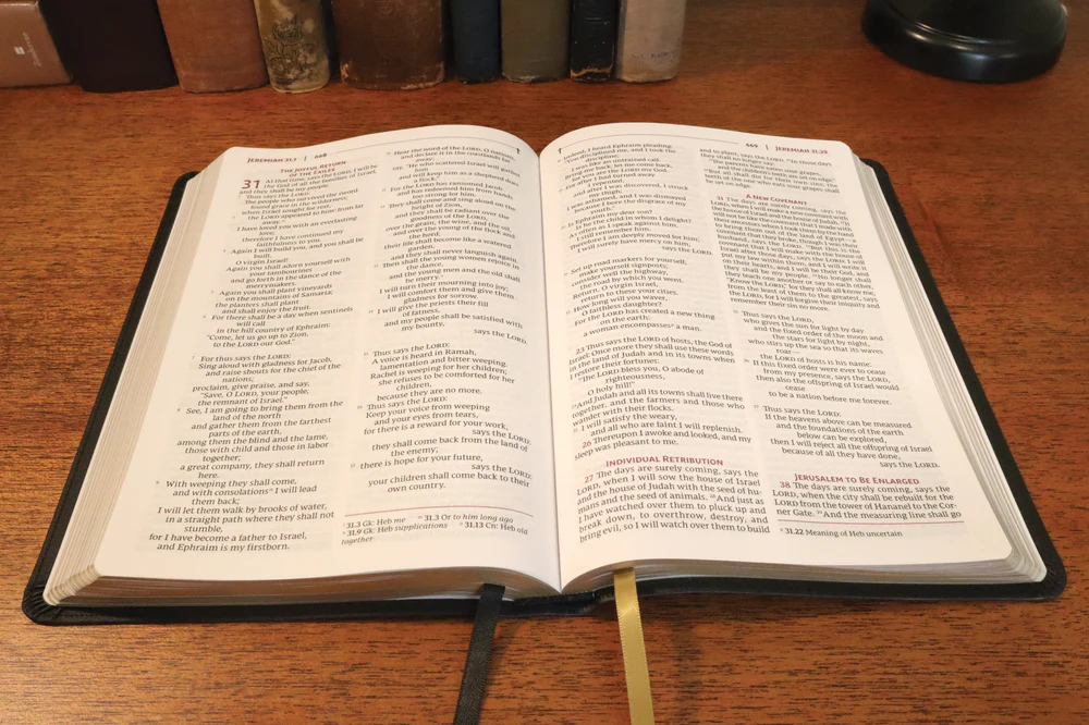 NRSVue, Holy Bible, Comfort Print - Image 3