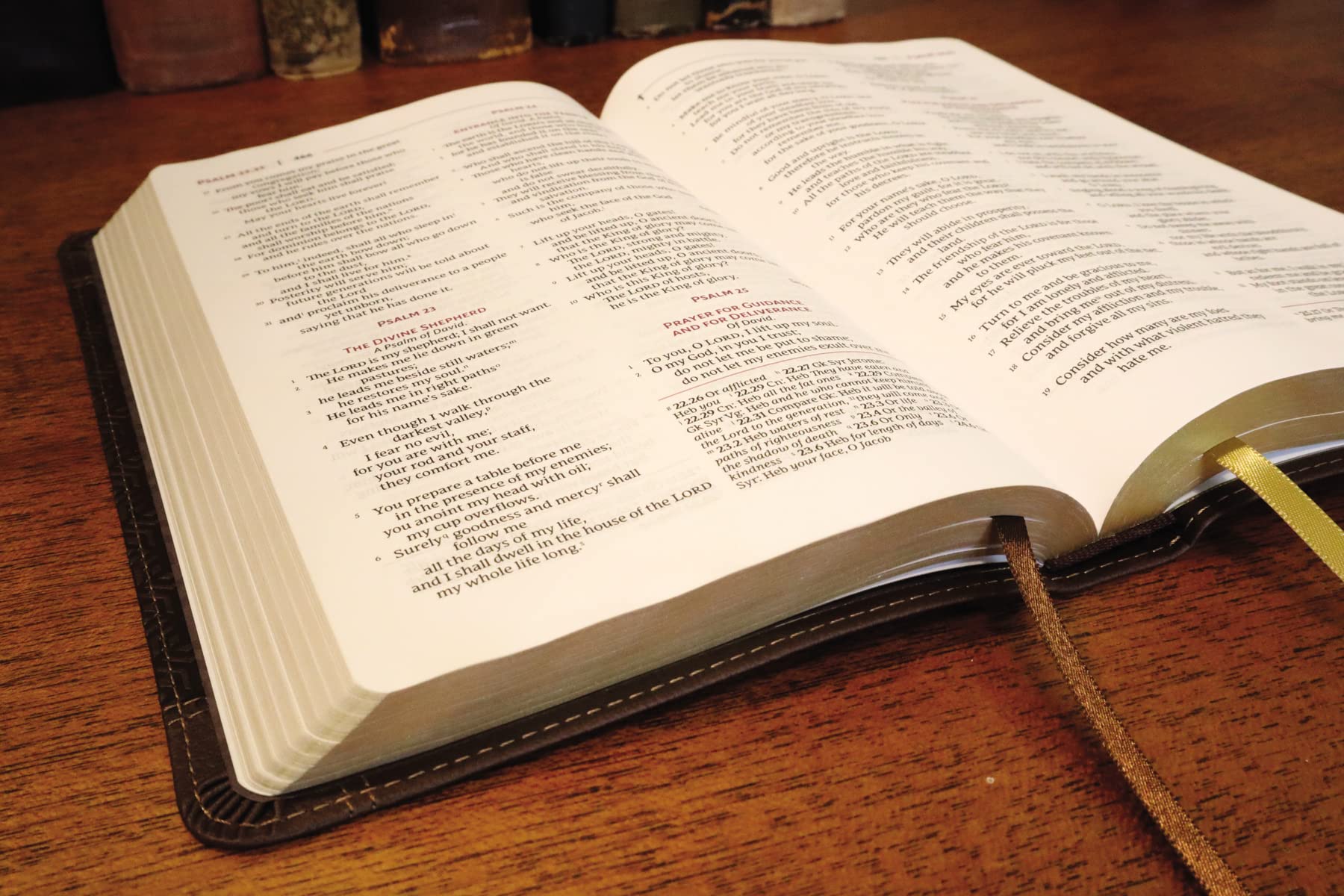 NRSVue, Holy Bible, Personal Size, Comfort Print - Image 2